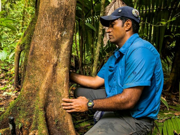 Moreno looking at scratch marks on a tree