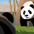 Giant Panda graphic from Sidedoor 8.1