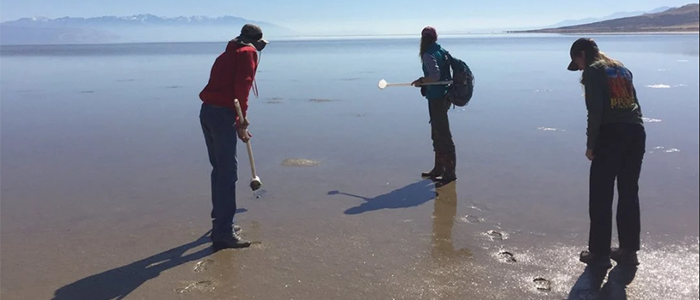 Meet the scientist who uses magnetic fossils to navigate changing oceans