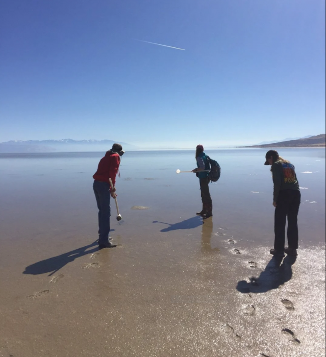 Researchers using metal detectors at Great Salt Lake beach