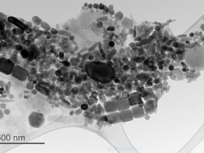 Microscope slide of magnetic microbe