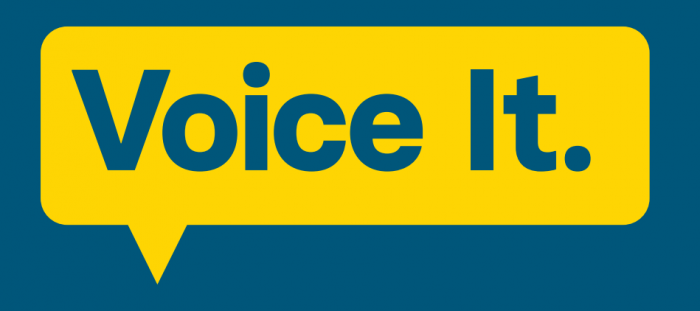 Voice It graphic from campaign  poster