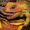 Illustration of prehistoric lizard eating a bug