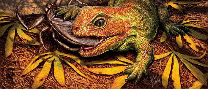 Scientists Discover Bug-Eating Reptile That Lived Among Dinosaurs