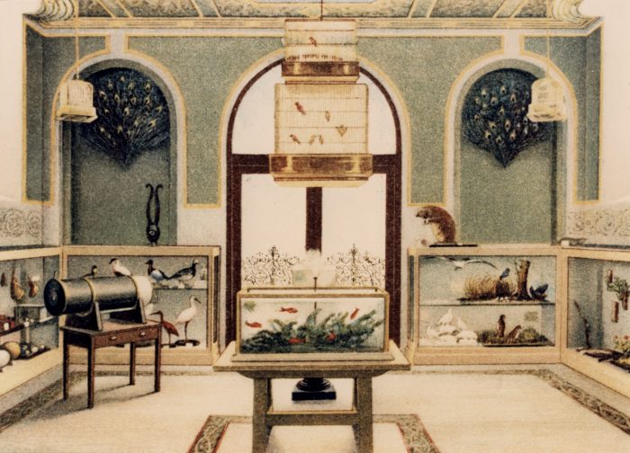 Children's room with aquarium, bird cage, specimens in cases