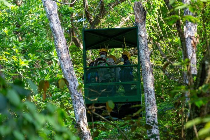 Secretary Bunch in canopy crane at STRI