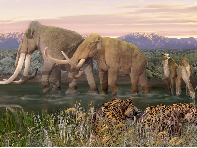 Illustration of mammoths at water hole with tigers in foreground