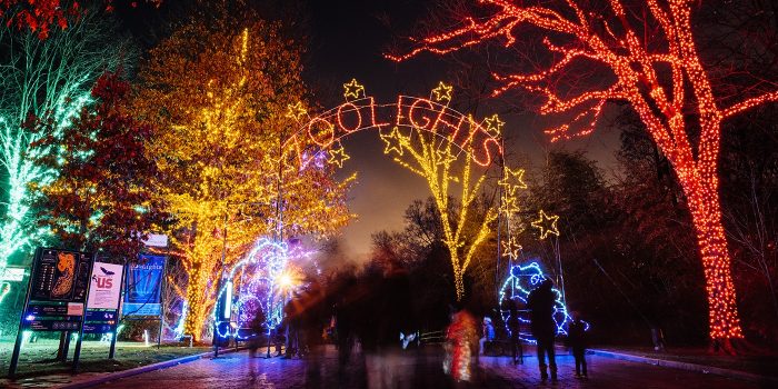 ZooLights Display at main gate of the Zoo