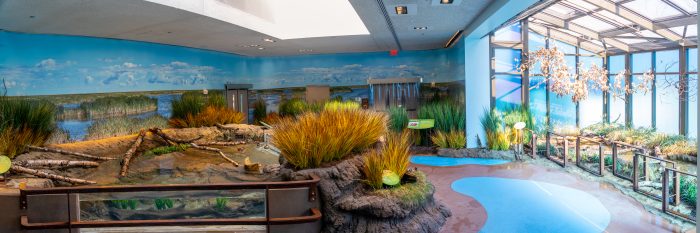Inside view of the new Prairie Pothole Aviary