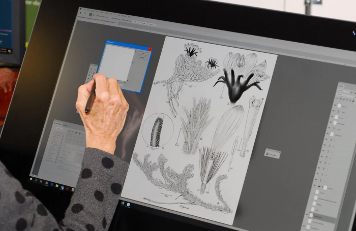 Alice Tangerini at digital drawing board