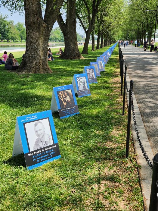 Photo placards along sidewalk on the National Mall