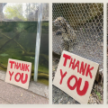 Composite photo of zoo animals with "thank you" sign