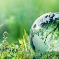 Glass globe representing Earth among grass and ferns
