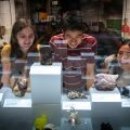 Three young people smile and laugh while looking at minerals in display cases