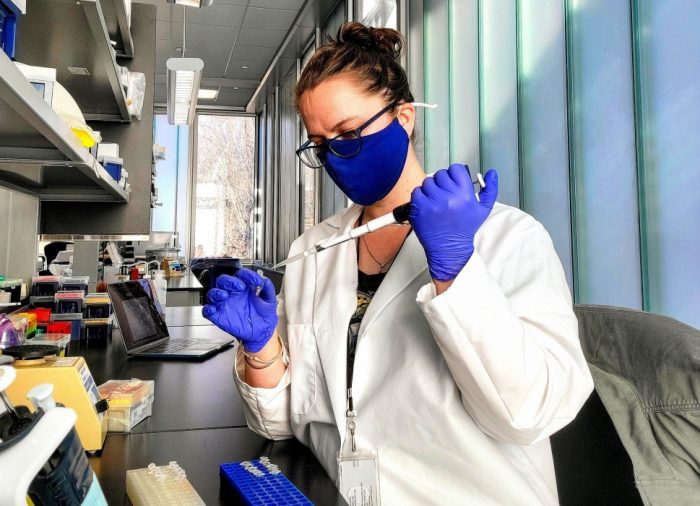 ours! A clear bag holds several clear pills with animal feces inside. Poop pills are used for fecal transplants in cheetahs and other animals who would not naturally eat feces. Photo of Sally Bornbusch using a pipette in a laboratory.