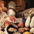 Still life photo of bushel basket spilling various kinds of mollusks and bivalves onto a table
