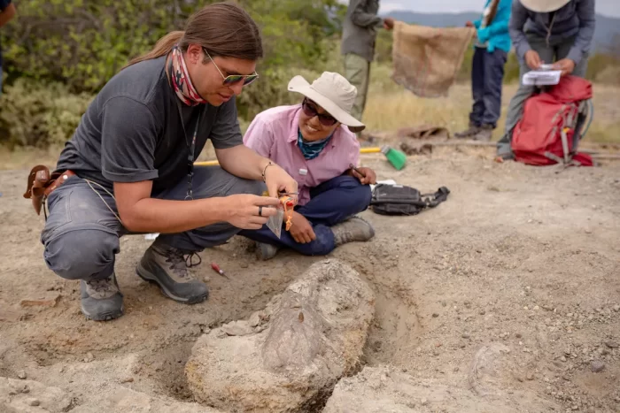 Catalina Suarez and Javier Luque examine fossile at dig site