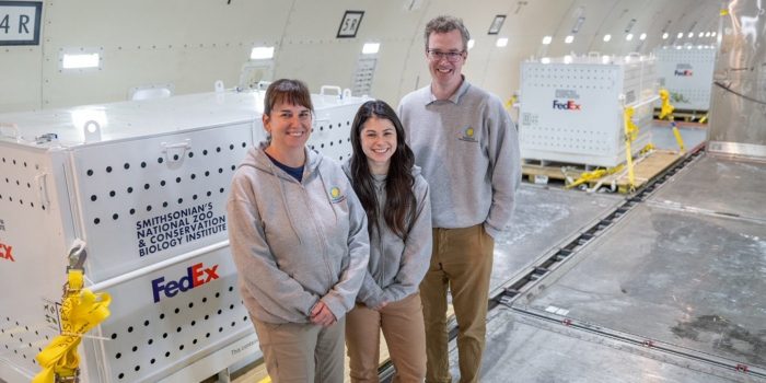 Three zoo keepers pose in front of pandas' Fed Ex transport crate