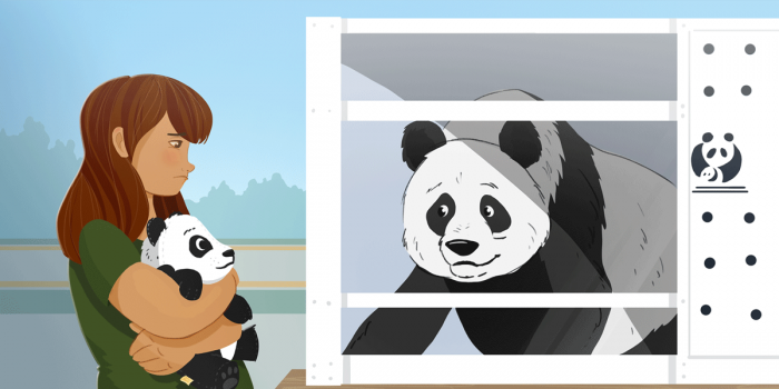 Graphic for Sidedoor 10.5 Farewell Giant Pandas