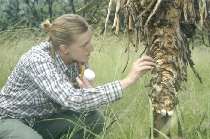 Hannah Wood in the field inMadagascar