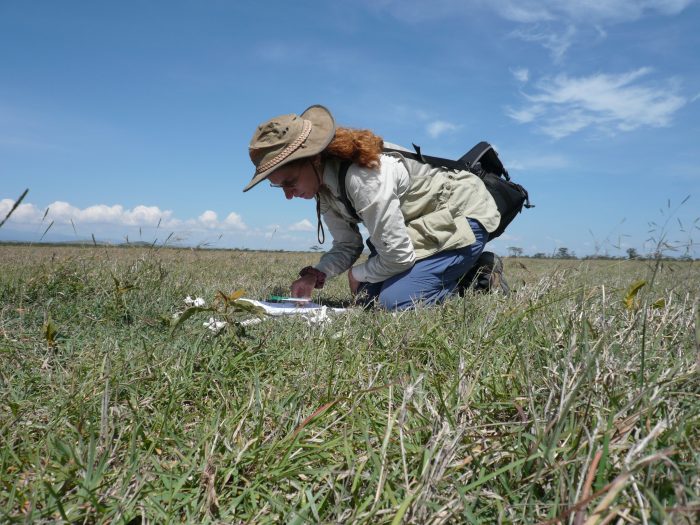 Pobiner in the field