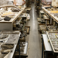 Cropped photo showing paleobiology collection