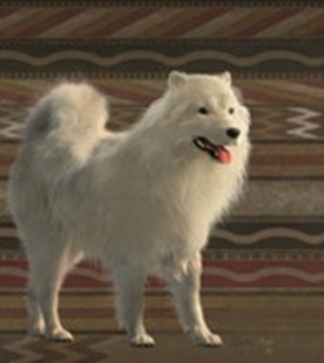 Artists rendering of white "wooly dog"