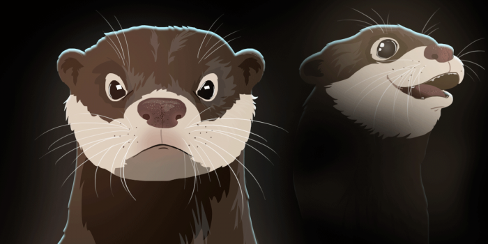 Sidedoor graphic showing two otters