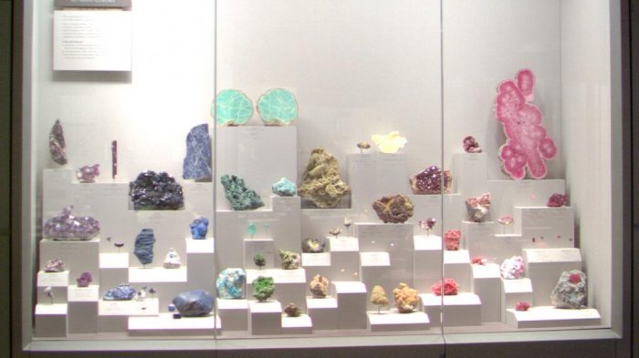 Case showing minerals in varied colors