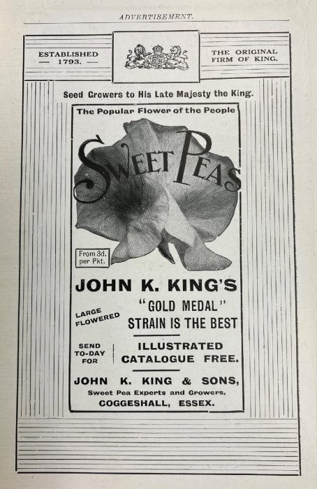 B&W image advertising sweet pea seeds