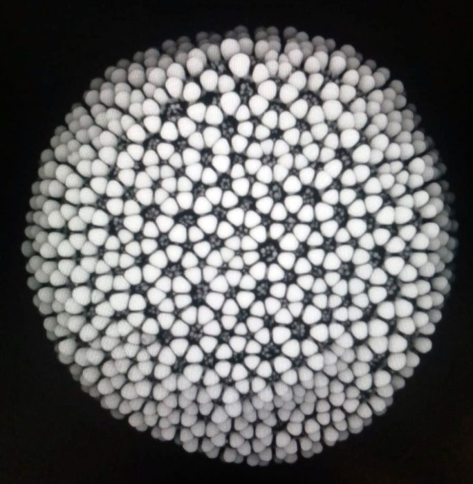 Close-up of spherical croton pollon seemingly composed of tiny flowers