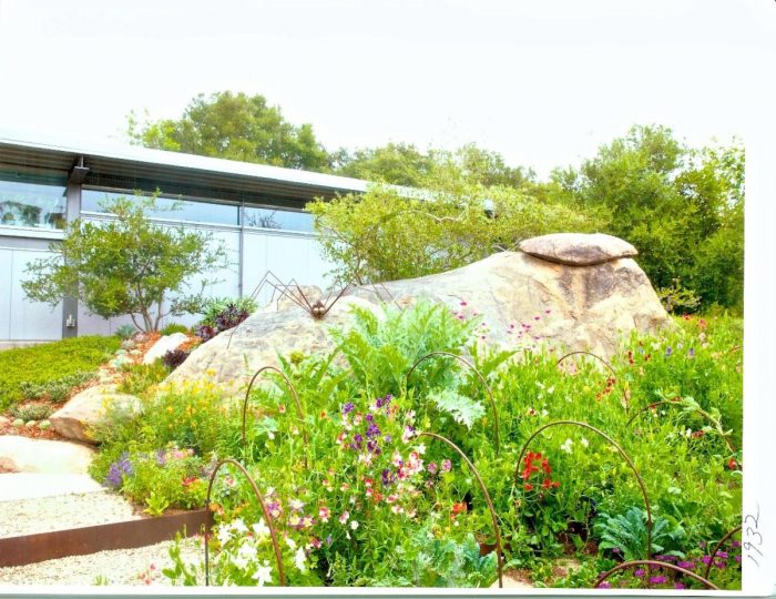 Kitchen garden featuring large boulder, sweet peas in foreground