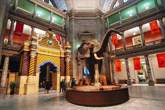 Archival photo of the NMNH rotunda showing entrance to "Seeds of Change" exhibition.