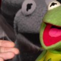 Cropped detail of image of Kermit the frog next top researcher holding kermitops skull