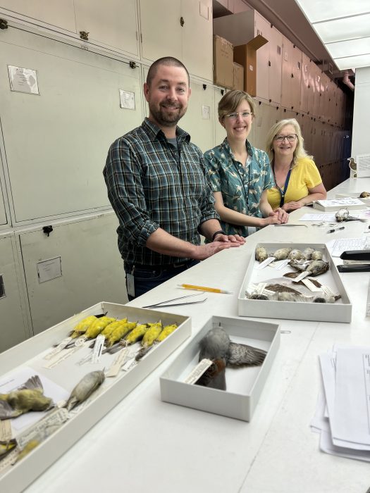 Bird identification team in the lab with specimens on table in front of them