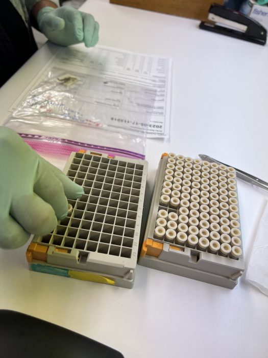 Close up of tech placing vials in box for testing