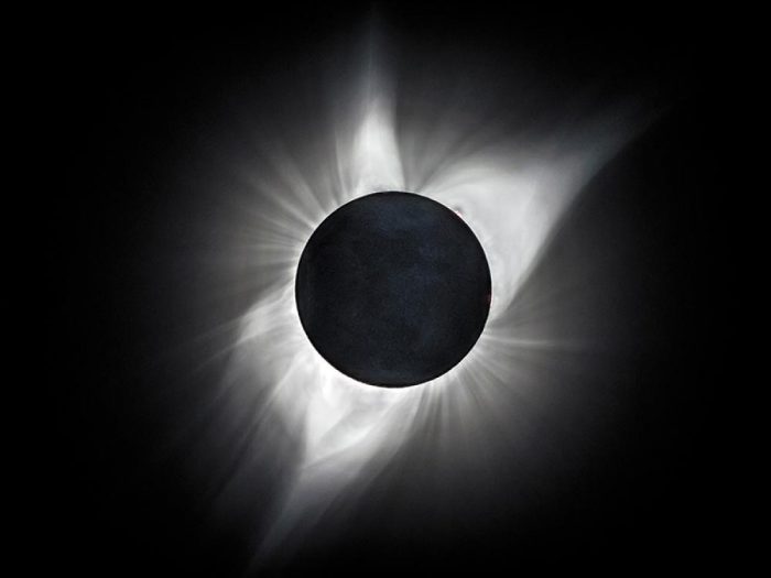 Black and white photo of total solar eclipse with sun obscured and   coronal flares clearly visible