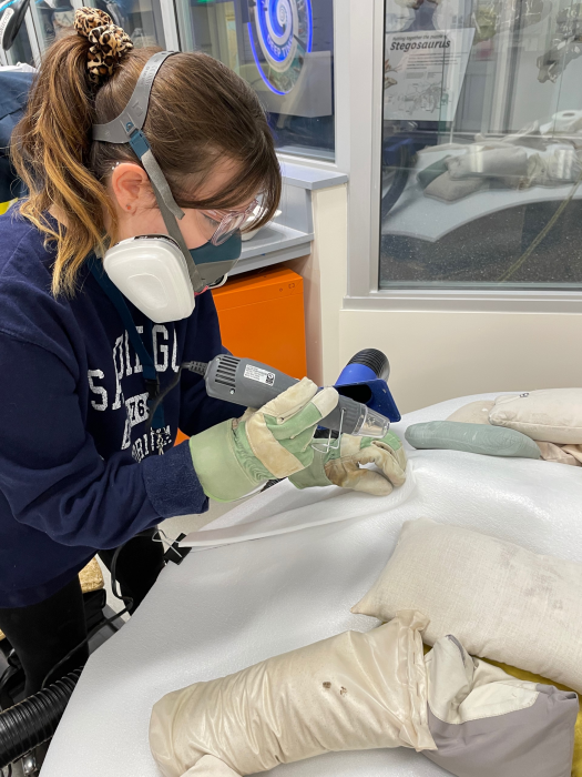 Myria wearing mask and goggles prepares a fiberglass casing for a fossil bone