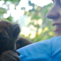 detail from photo of Missy Hawkins with bamboo lemur