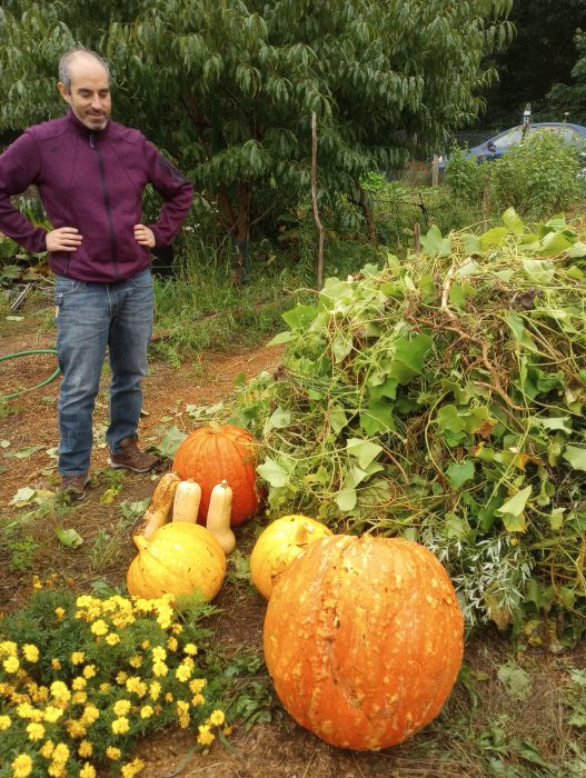 Gonzalo standing in garden, hands on hips, looking down at large pumpkins and squash