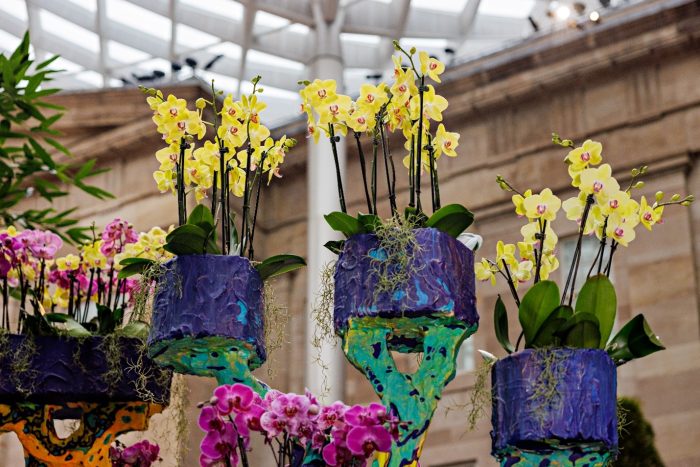 Yellow and pruple orchids in blue and green painted hanging containers