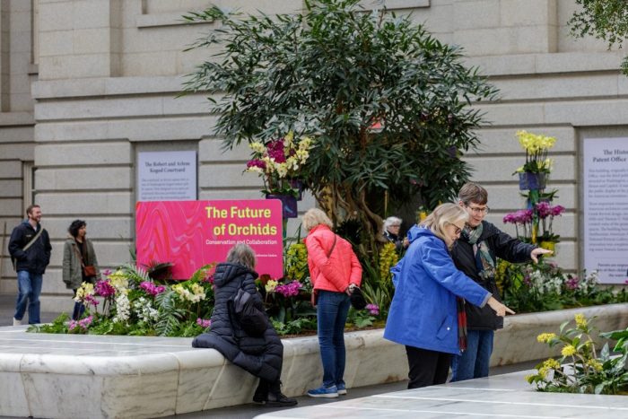 Visitors at The Future f Orchids exhibition