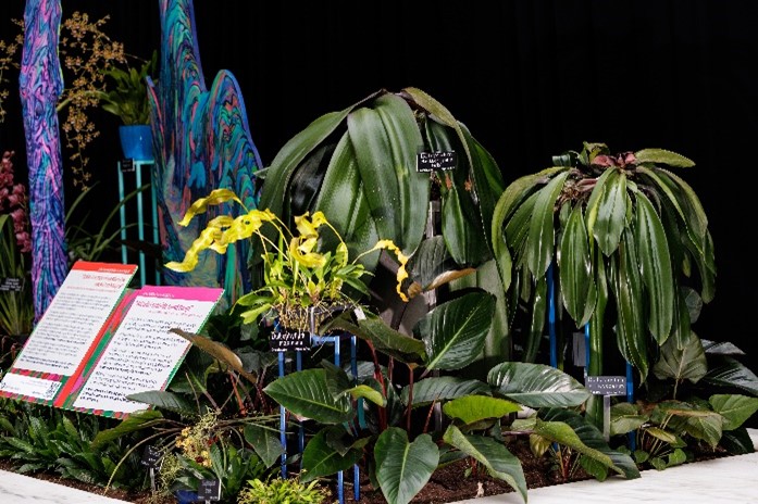 Garden bed disply in orchid exhibition