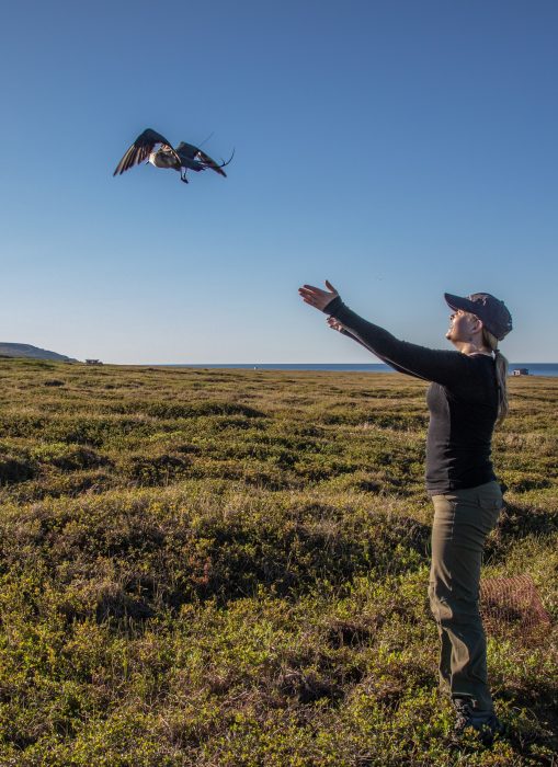 Autumn-Lynn stands in open field, arms outsrtetched with bird flying above her.