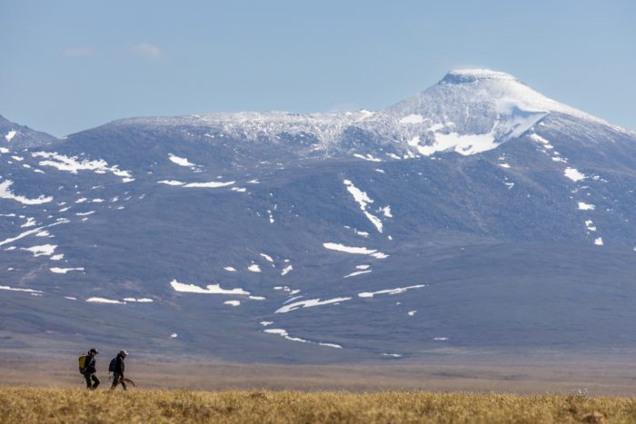 Two people hiking across a field in the foreground, snow-capped mountains in the background