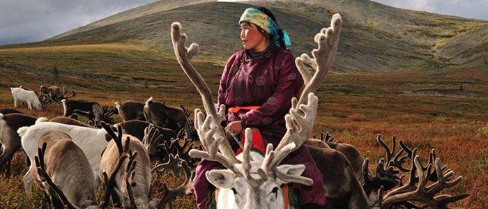 The Conversation: Conservation policies threaten indigenous reindeer herders in Mongolia