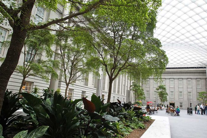 Courtyard with raised bed planted with trees and tropicals in the foreground, tables and chairs in the background