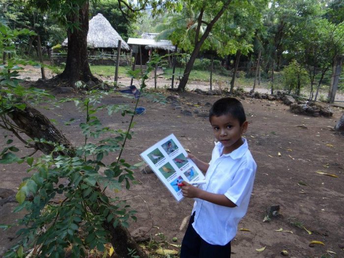 Young Panamanian boy playing bird quest game