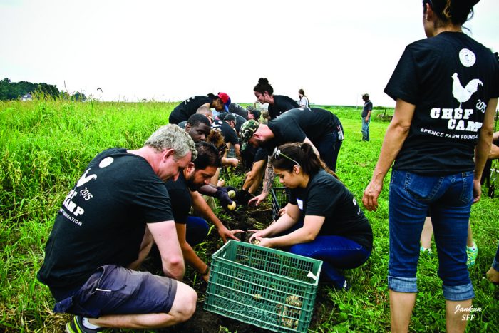 Kids wearing Chef Club T-shirts harvest vegetables in Illinois
