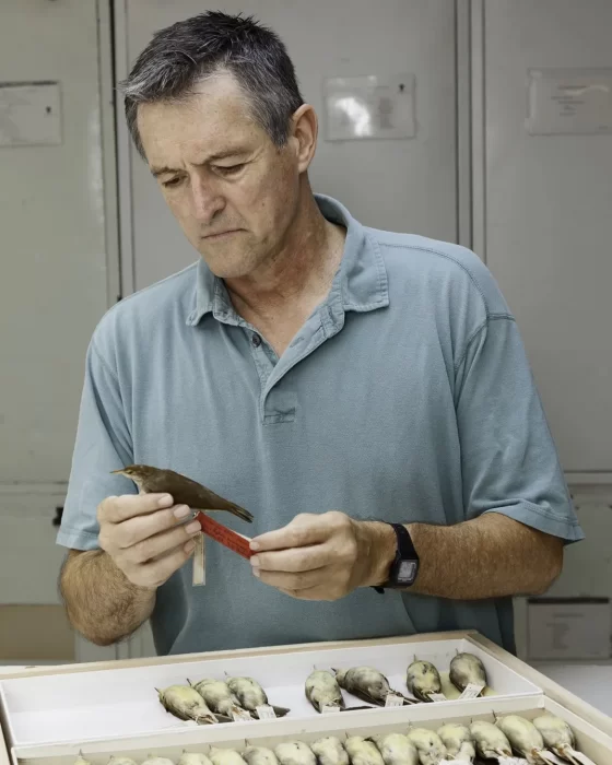 Gary Graves holds specimen above a tray of preserved birds